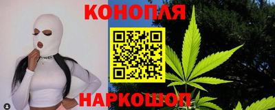 гашик Бийск