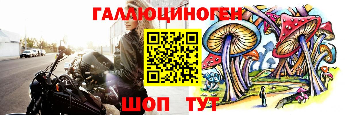 Псилоцибиновые грибы мицелий Белореченск