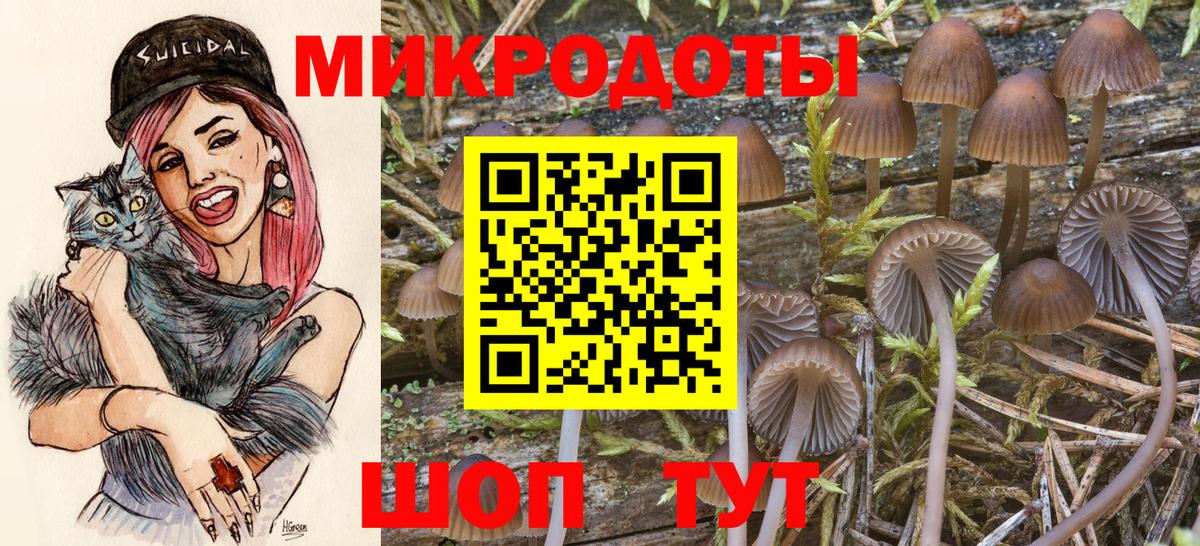 Псилоцибиновые грибы мухоморы  Вход с VPN  Псилоцибиновые грибы Magic Shrooms  Белореченск 